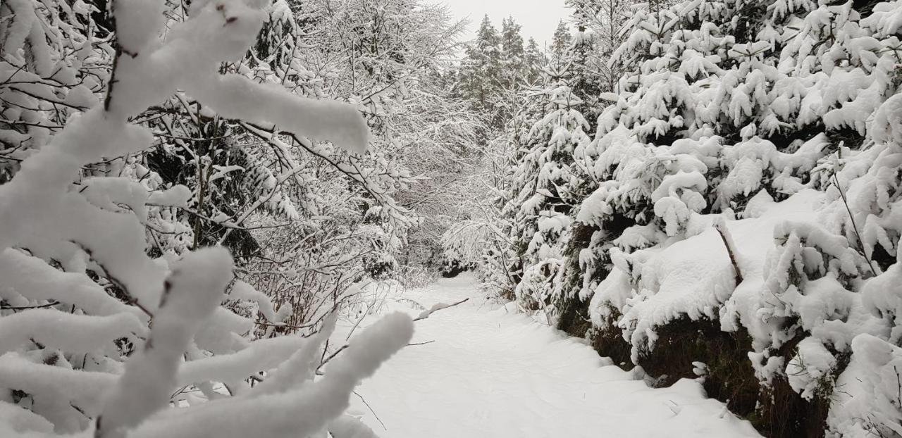 Podskali Adrspach Teplice nad Metují Esterno foto